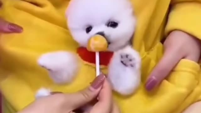 Pomeranian World