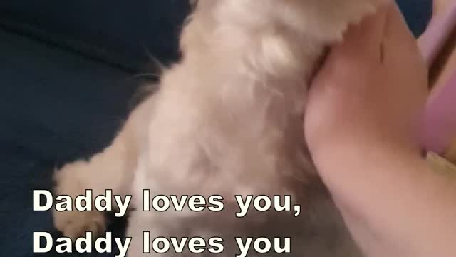 Snoopy is a cute boy
