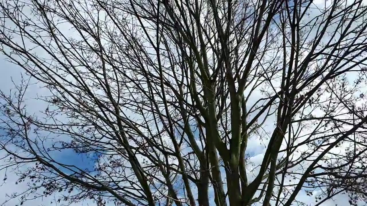 Himmel in Berlin am 22.03.2023 um 15:28 Uhr