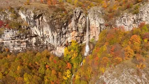 Enchanting Autumn Forests with Beautiful Piano Music