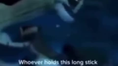 Kung fu Panda