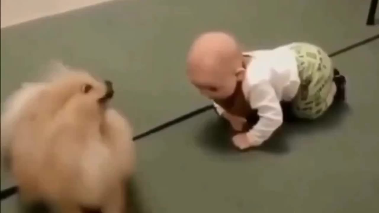 Toddler and doggy cute video 😍