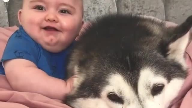 baby and dog