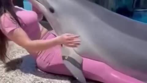 Dolphins love beautiful girls, too