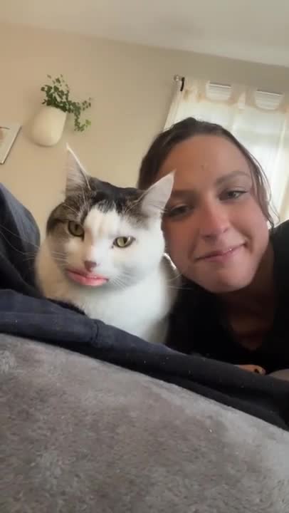 #cat #cutecats #kitty #animals