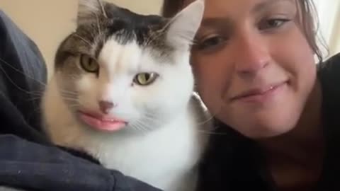 #cat #cutecats #kitty #animals