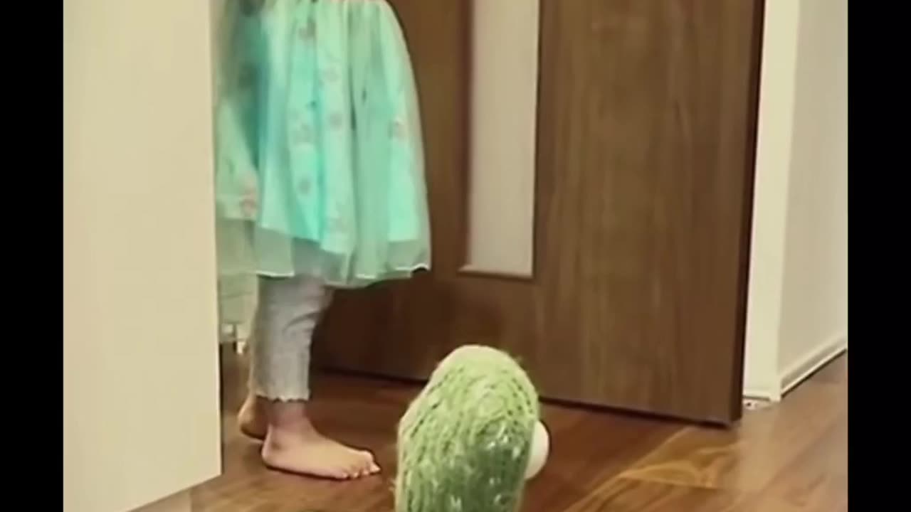 Baby funny video 👶