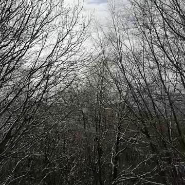 How to have fun with a cat?