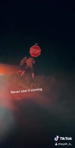 Two Drunk Rednecks Fight Stop Sign, Lose