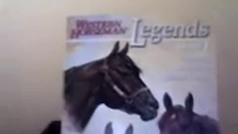 Foundation Quarter Horse Sire King