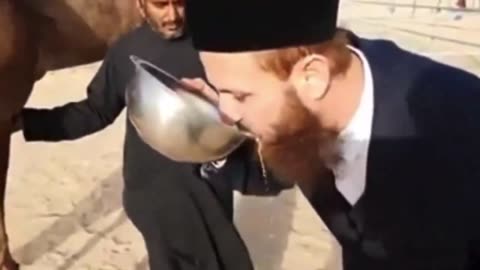 Muslim Drinks Camel Piss For Healing Purposes