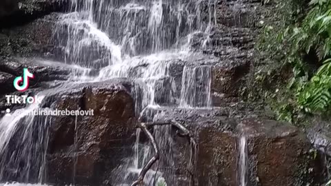 Cascata das araucarias