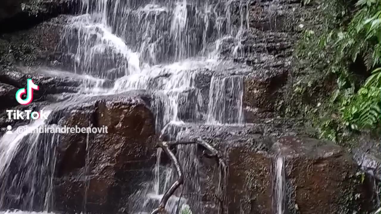 Cascata das araucarias