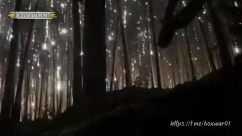 ‼️🇷🇺☄️Fiery “Hail” on the heads of Ukrainian Armed Forces militants in the forests of Kremennaya.☄️