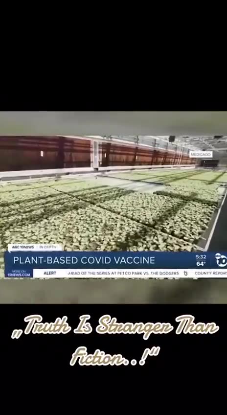 Vaccines - Plant Based Covid Vaccines