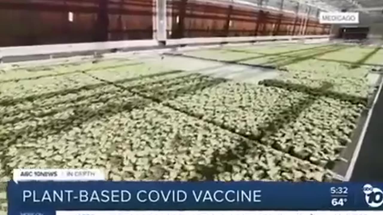 Vaccines - Plant Based Covid Vaccines