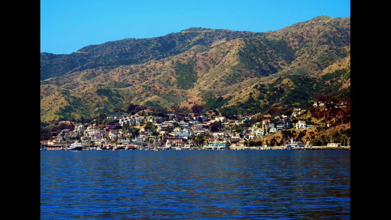 CATALINA ISLAND #SHORTS