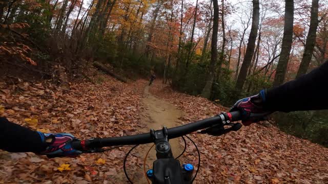 Hooker Creek DuPont State Forest re-Build Oct 2022 North Carolina