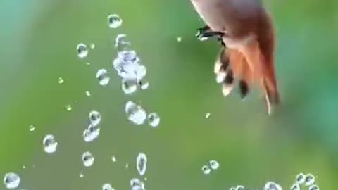 Time for a morning shower! Good night my friends...