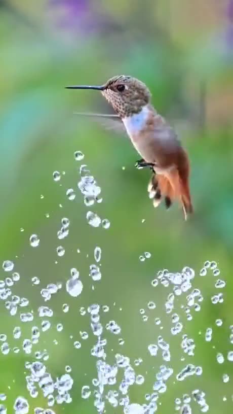 Time for a morning shower! Good night my friends...