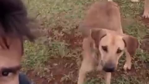 New funny video