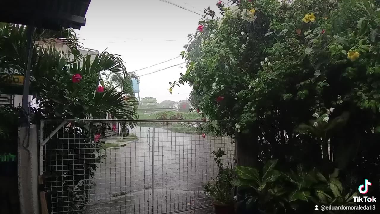 When it rains it pours