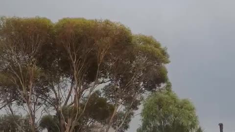 Thunder Downunder