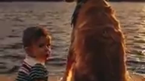 Dog of kids ke sate me hai