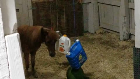 bottle challenge