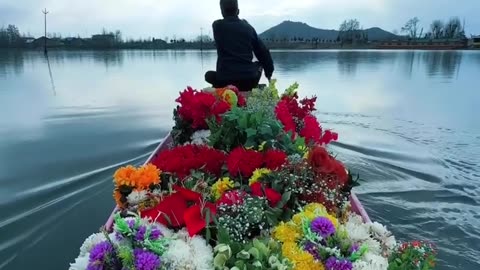 Boat of flowers 🌹