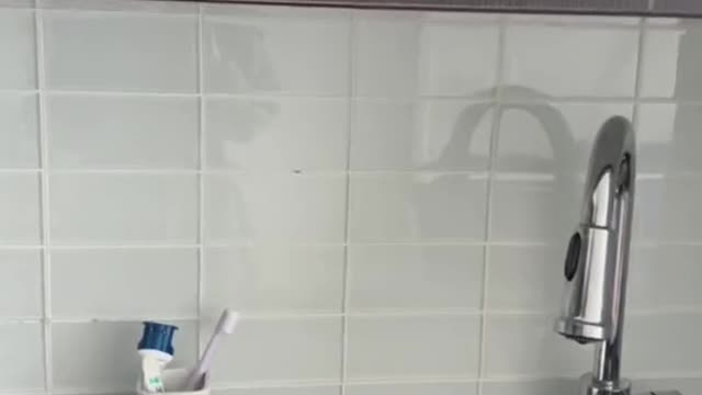 weird things my roommate.from russia does