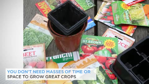 Vegetable Gardening Made Easy