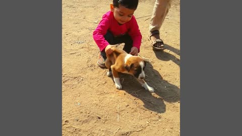 Cute Kid playing with puppy! Dog Lover