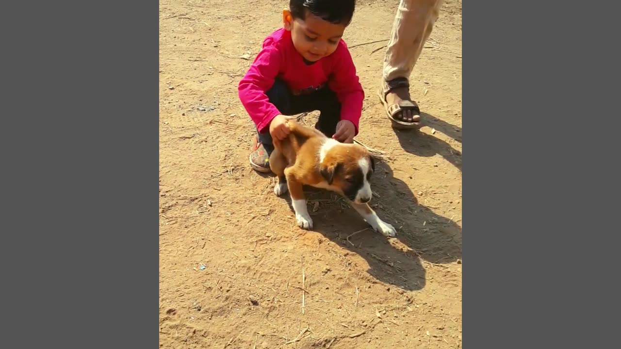 Cute Kid playing with puppy! Dog Lover