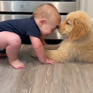Just a baby loving on his puppy,CUTE ,FUNNY,VIRAL,