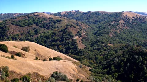 Mountain View | Edwin Stock Video