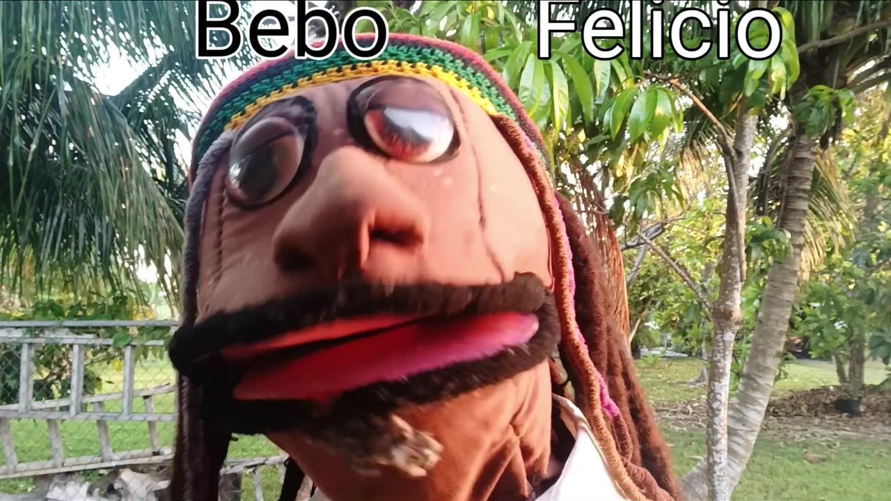 Demócrata y Republicano