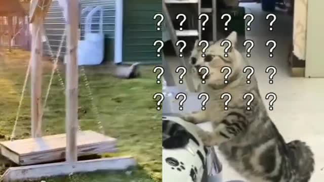 some kind