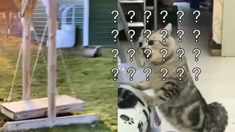 some kind