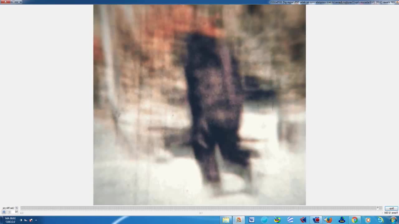 Bigfoot Strange Creatures Sasquatch Creepy Monsters in the Woods