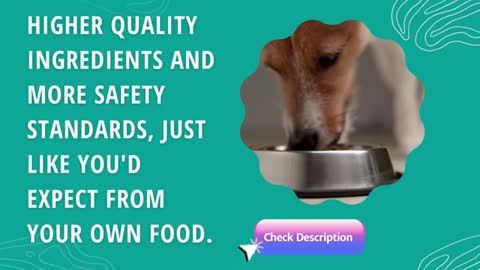 Healthy dog food for you