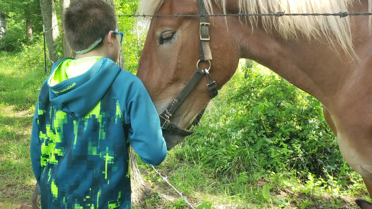 SPECIAL VISITORS on the FENCELINE