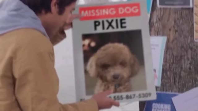 Conjur photo of dog menConjure a dog photo into reality ?