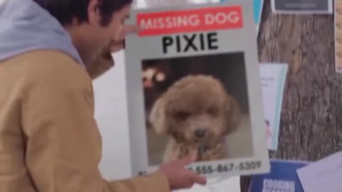 Conjur photo of dog menConjure a dog photo into reality ?