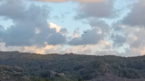 MORE Huey landing on North Shore Oahu