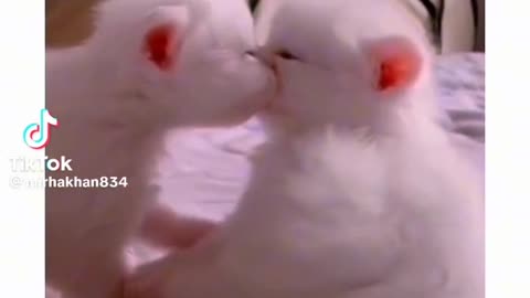 Love Of The Year ❤❤