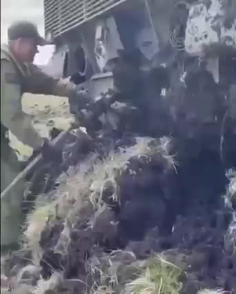 Leopard Tanks + Muder = Bad Combo 🤣🤣🤣🥳