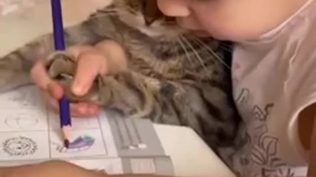 A cat does a child's homework
