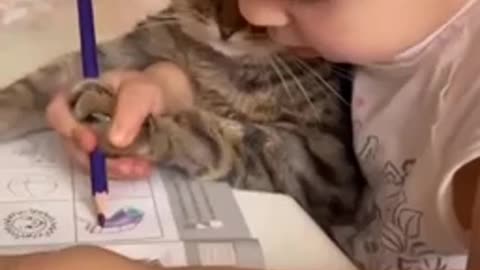 A cat does a child's homework