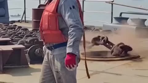 Cargo Ship Drops Anchor | Oddly Satisfying